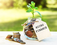 micro finance